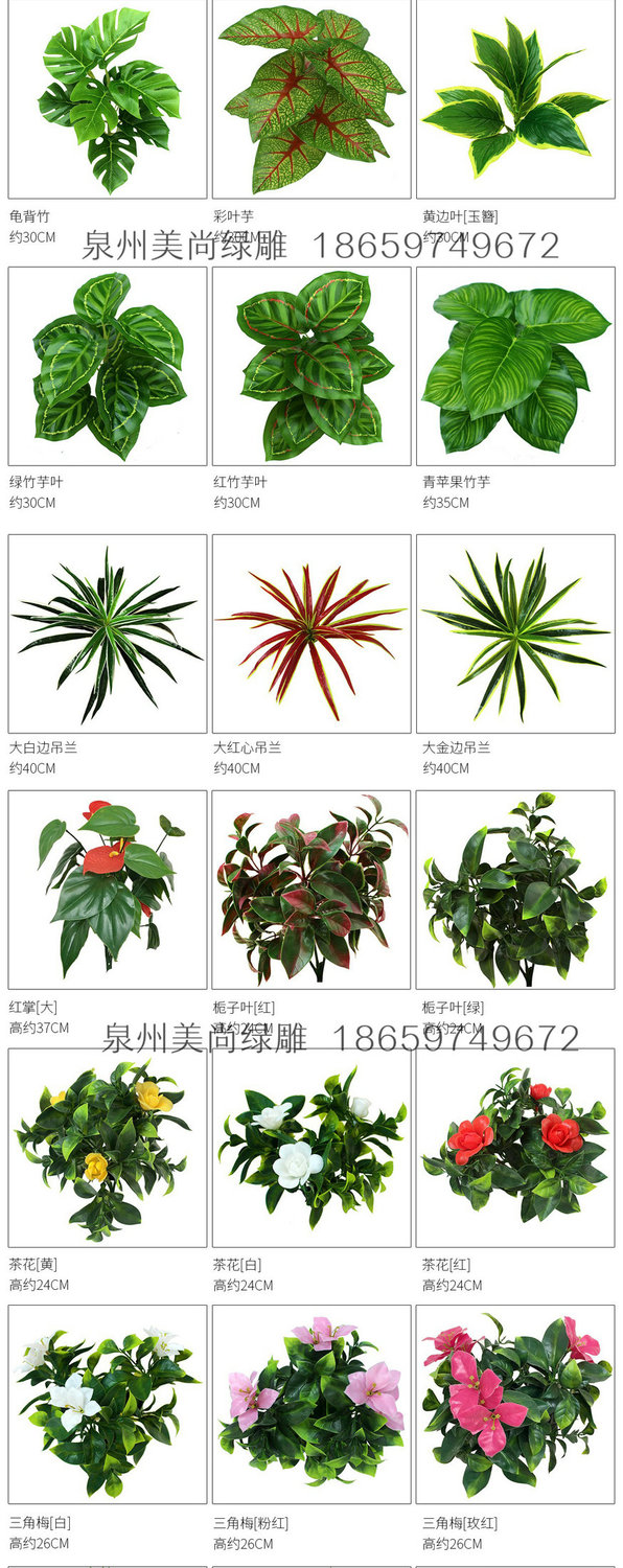 微信圖片_20181202165716.jpg
